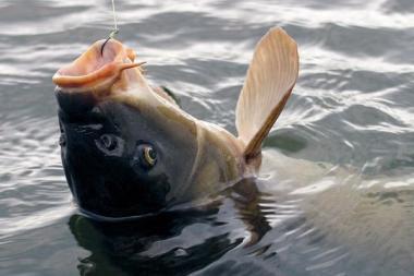 de prin lume  :) - 5.jpg